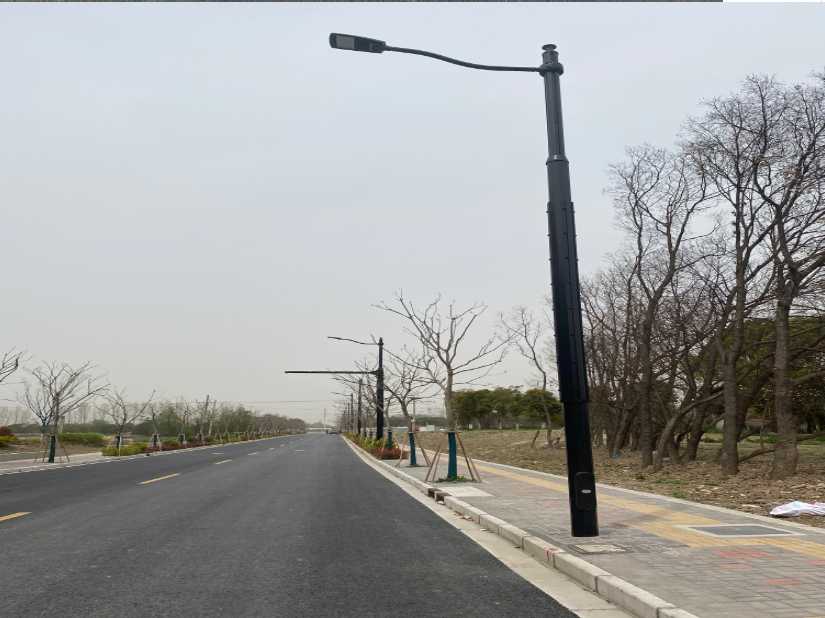 定远县上海综合杆 太阳能路灯工程